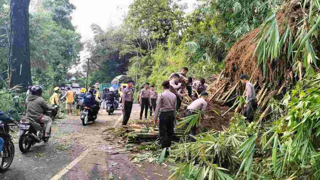 Pohon Bambu Rungkad Tutupi Jalan Raya Tasikmalaya-Garut