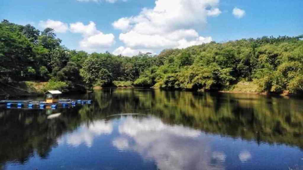 Asal Mula Situ Leutik Kota Banjar, Sumber Airnya di Bawah Pohon Kiara Berusia 200&nbsp;Tahun